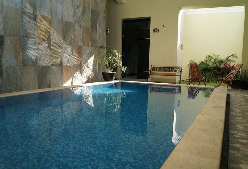 Fotos del hotel Casa Palomino:  9