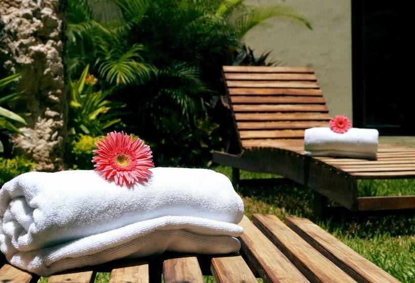 Fotos del hotel Casa Palomino:  4