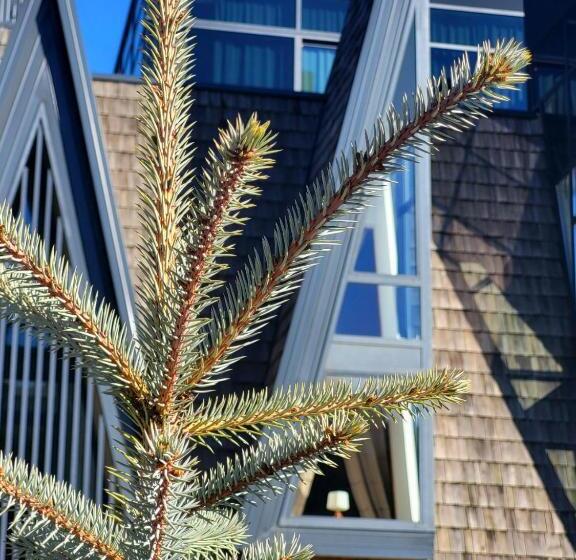 Fotos del hotel Pino Nature:  13