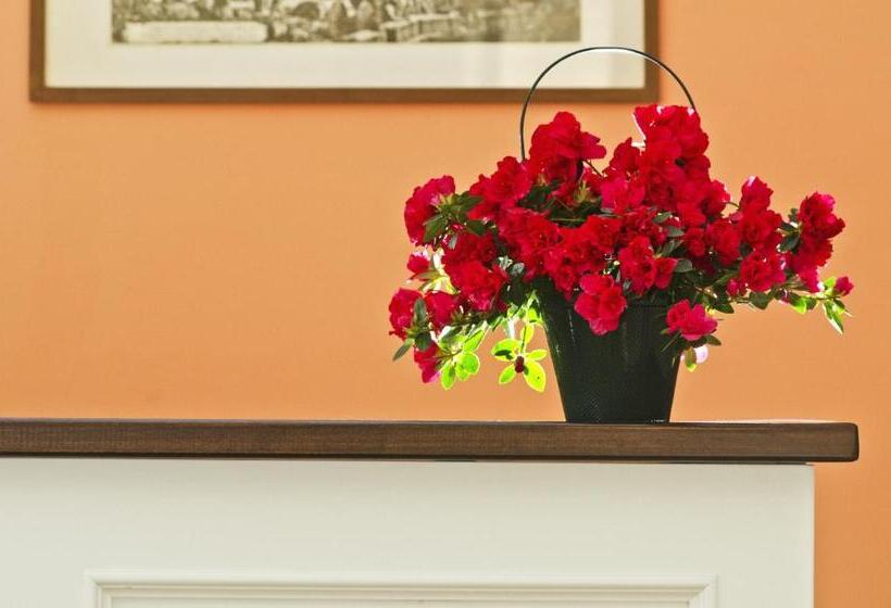 Fotos del hotel Suisse:  10