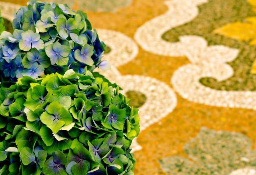 Fotos del hotel Suisse:  4