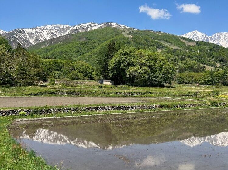 Fotos del hotel Heidi Hof:  11