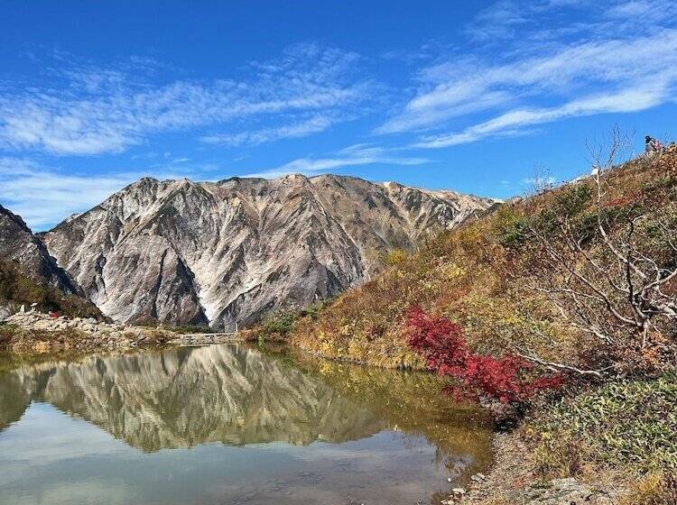 Fotos del hotel Heidi Hof:  20