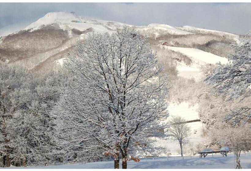 Fotos del hotel Heidi Hof:  24