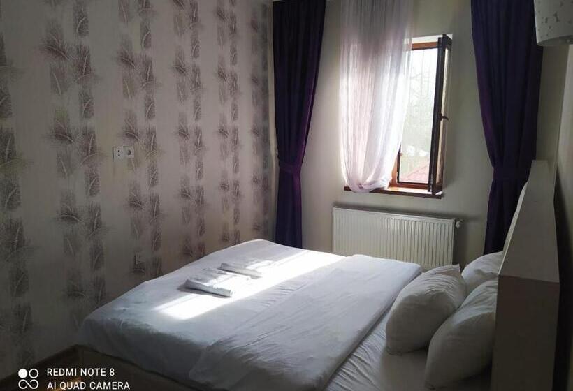 Fotos del hotel Kaspia Yeddi Gozel:  2