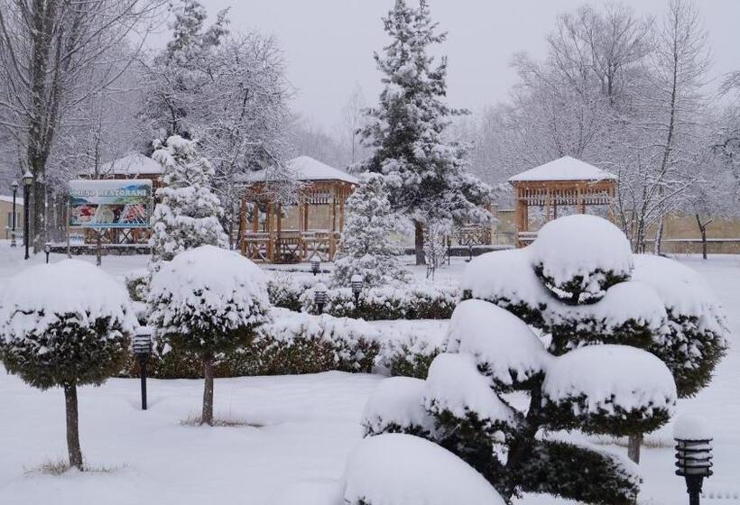 Fotos del hotel Kaspia Yeddi Gozel:  15