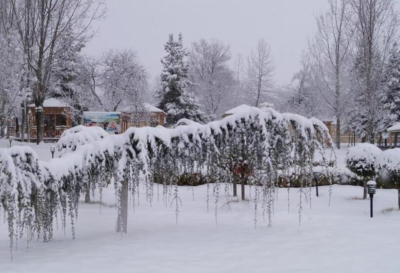 Fotos del hotel Kaspia Yeddi Gozel:  9