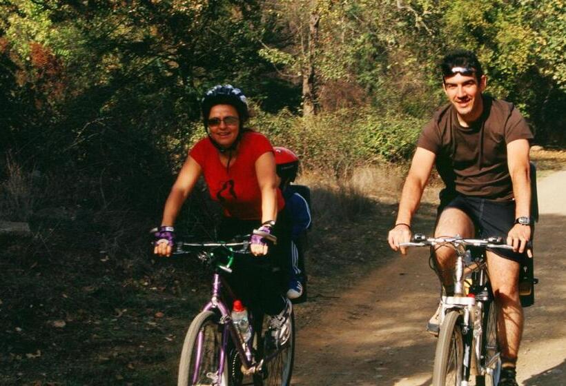 Fotos del hotel La Posada Del Infante:  15