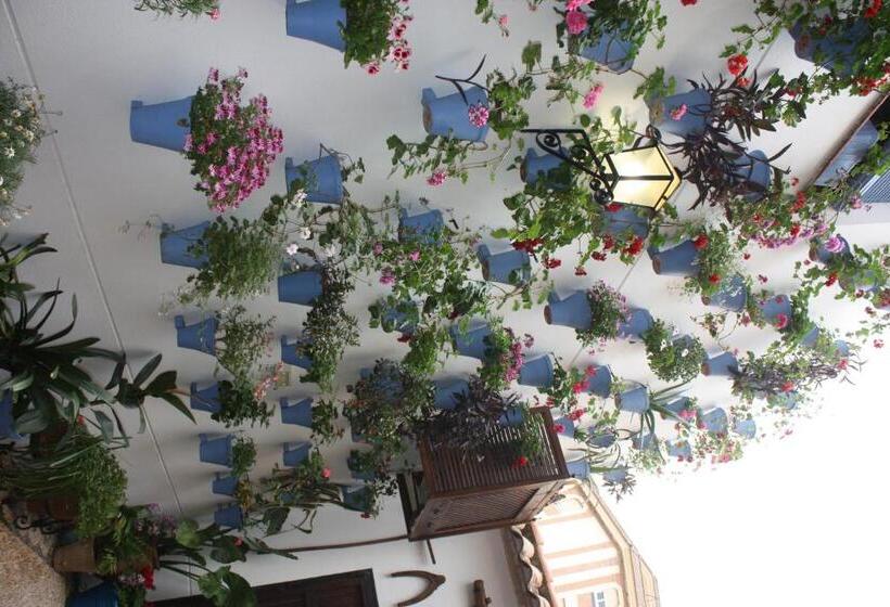 Fotos del hotel La Posada Del Infante:  23