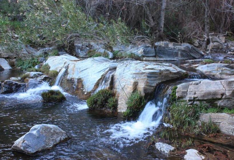 Fotos del hotel La Posada Del Infante:  6