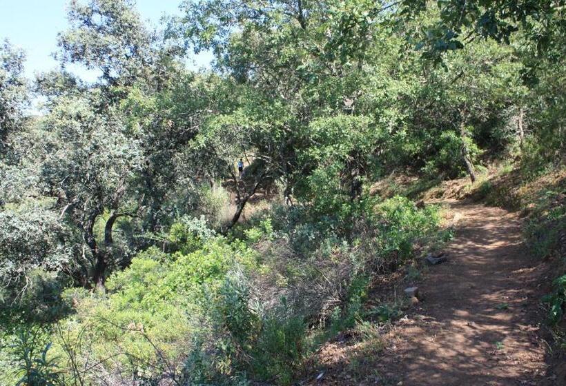 Fotos del hotel La Posada Del Infante:  12