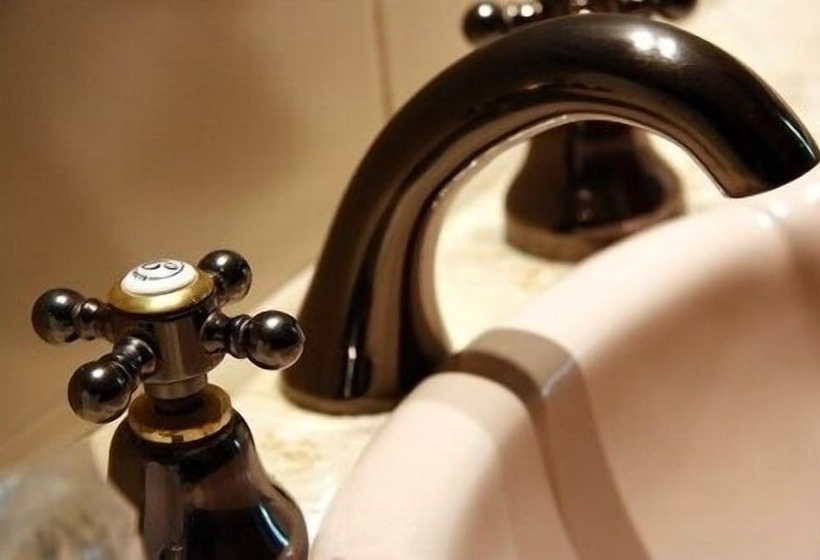 Fotos del hotel Beltran:  3