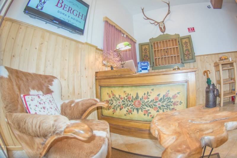 Fotos del hotel Apartment House Berghi:  20