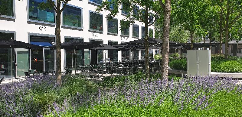 Fotos del hotel Placid  Design & Lifestyle Zurich:  11