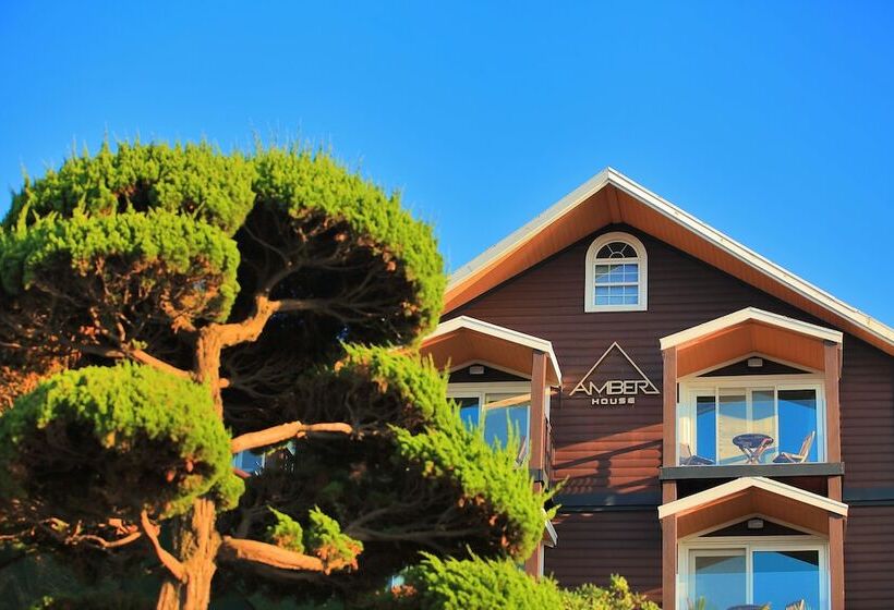 Fotos del hotel Amber House:  3