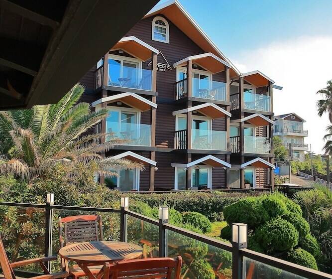 Fotos del hotel Amber House:  5