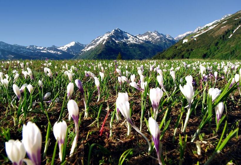 Fotos del hotel Pension Helvetia:  15