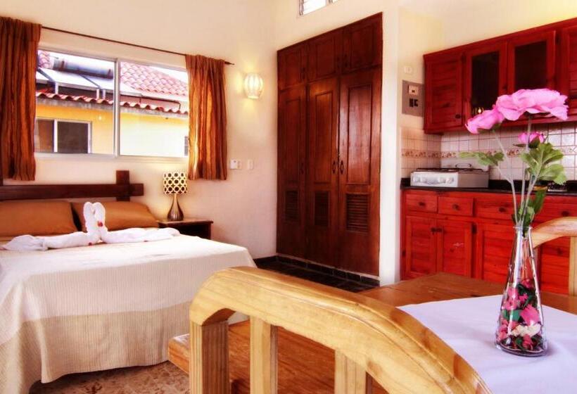 Fotos del hotel Apartahotel Villa Baya:  2