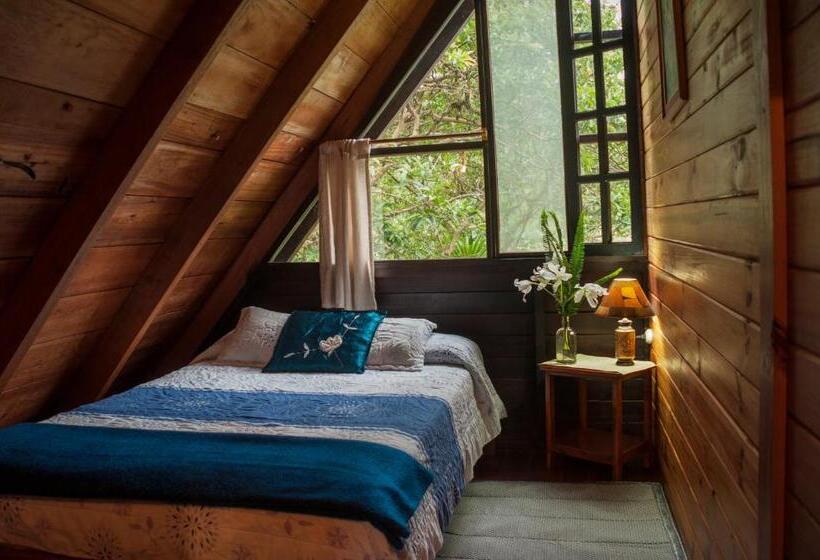 Fotos del hotel Casa De Piedra:  23