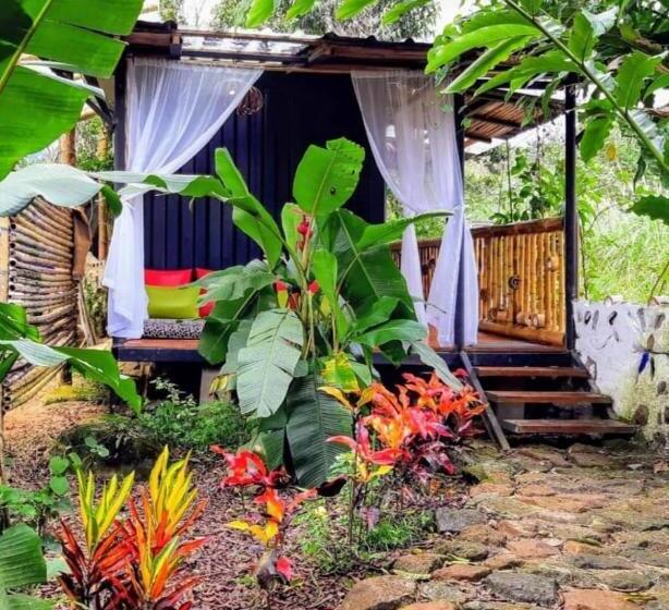 Fotos del hotel Casa De Piedra:  22