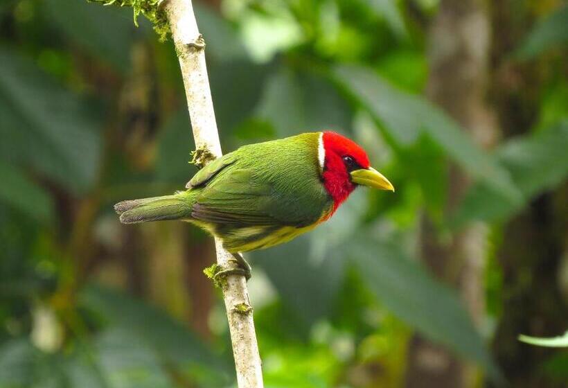 Fotos del hotel Casa De Piedra:  9