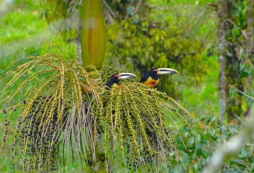 Fotos del hotel Casa De Piedra:  5