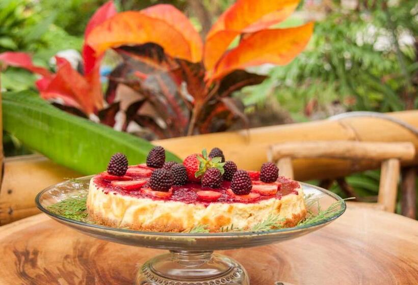 Fotos del hotel Casa De Piedra:  15