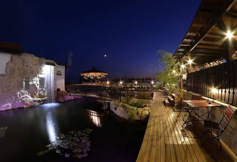 Fotos del hotel Castel Royal:  9