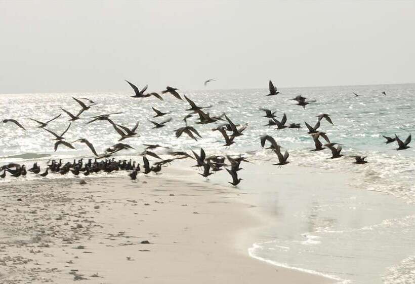 Fotos del hotel Island Cottage:  11