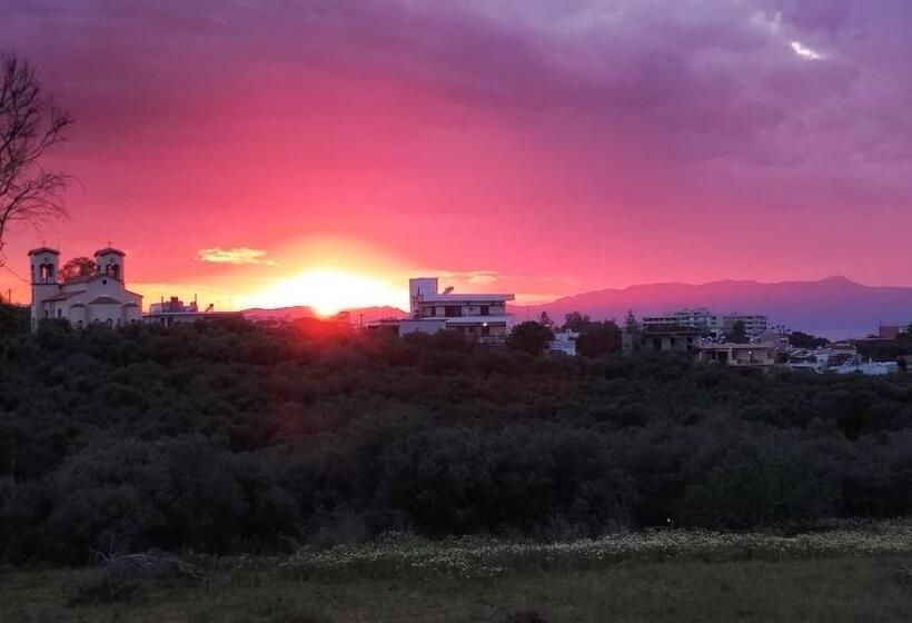 Fotos del hotel Argo Apartments:  13