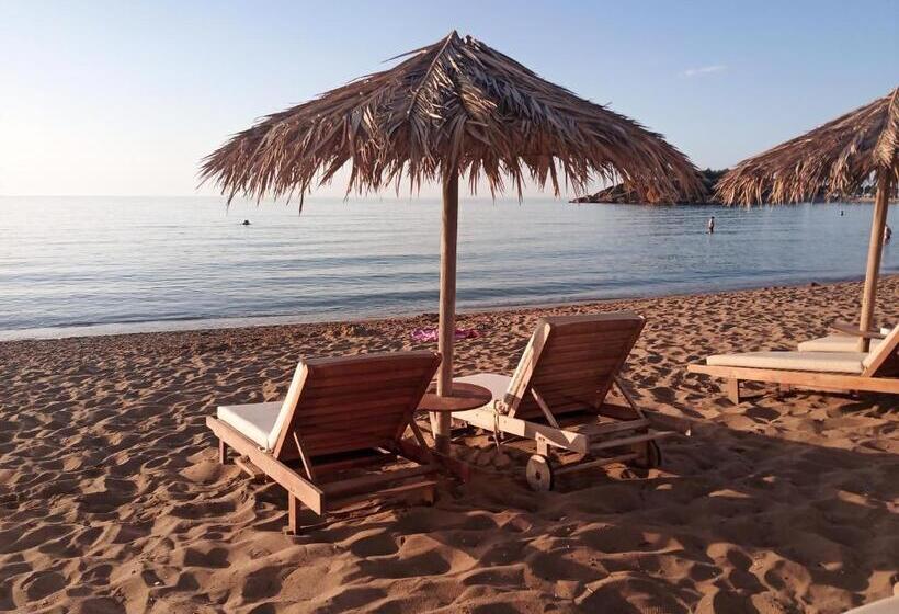 Fotos del hotel Argo Apartments:  23