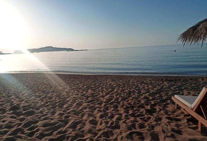 Fotos del hotel Argo Apartments:  8