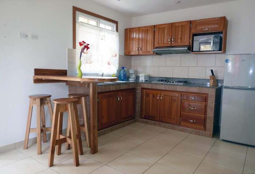 Fotos del hotel Kevin Condos:  13