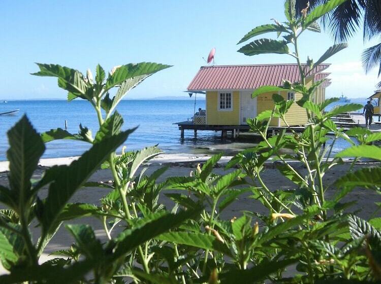 Fotos del hotel Kevin Condos:  18