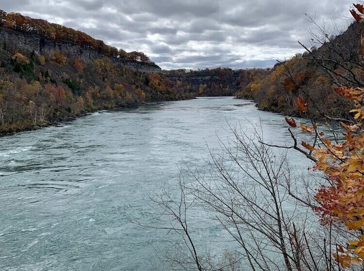 Fotos del hotel The Red Coat:  6