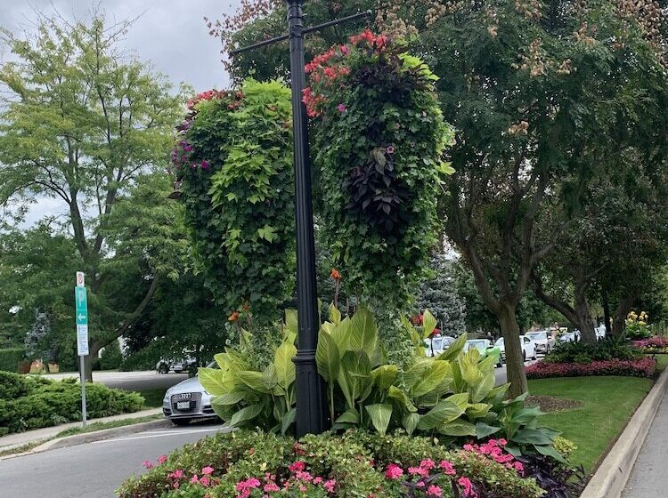 Fotos del hotel The Red Coat:  13