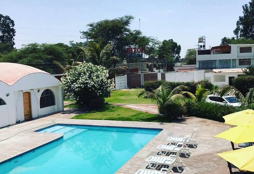 Fotos del hotel Cocos Inn:  12