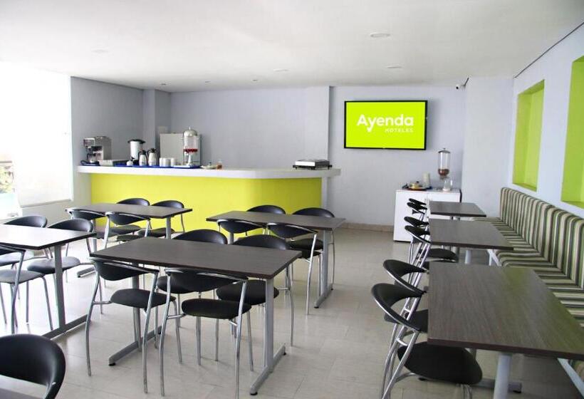 Fotos del hotel Ayenda 1801 El Océano:  4