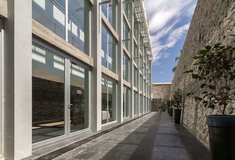 Fotos del hotel Dazzler By Wyndham Colonia:  19