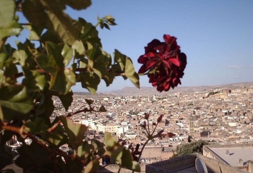Fotos del hotel Dar Al Safadi:  15