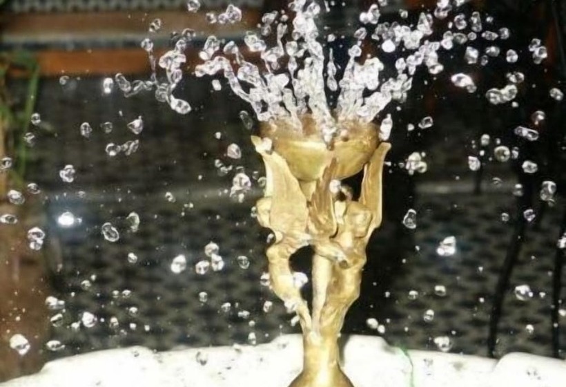 Fotos del hotel Dar Al Safadi:  6