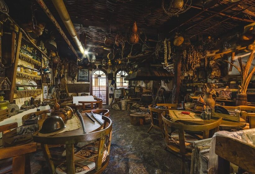 Fotos del hotel Pelikan:  9