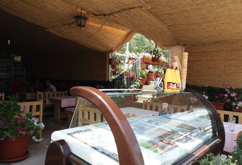 Fotos del hotel Pelikan:  3