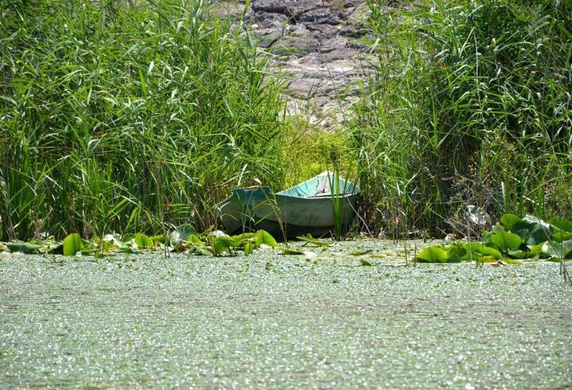 Fotos del hotel Pelikan:  6