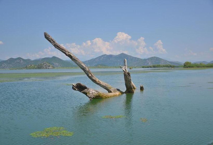 Fotos del hotel Pelikan:  13