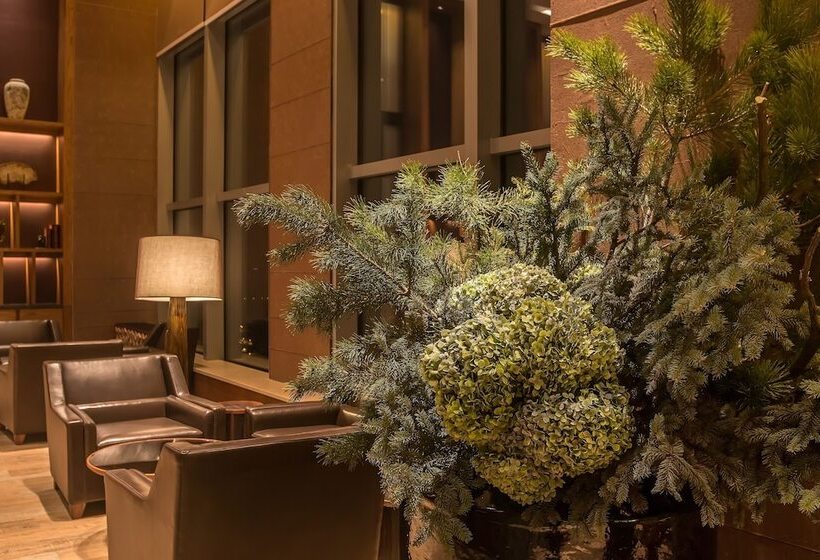 Fotos del hotel Aoluguya:  17