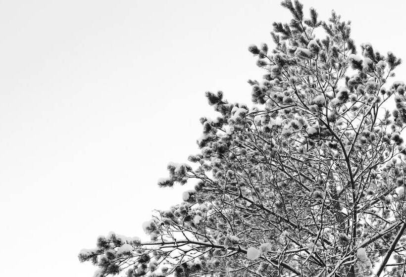 Fotos del hotel Li Nuuksio:  11