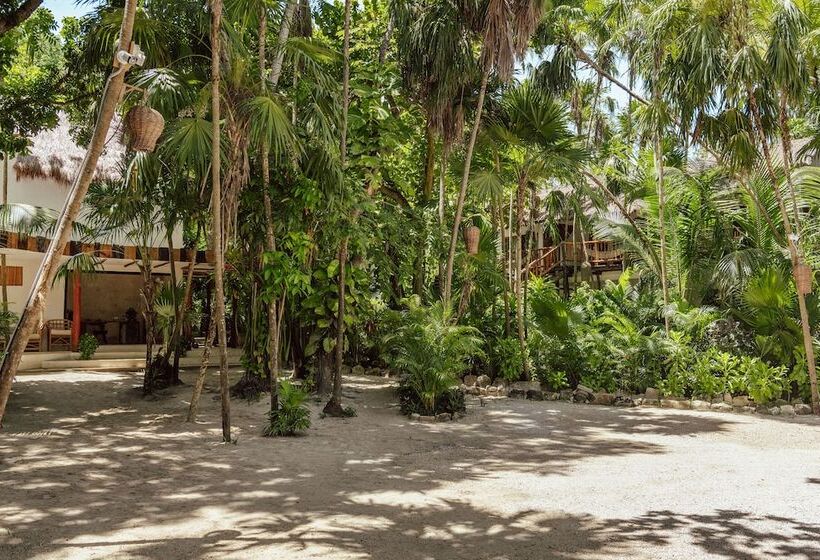 Fotos del hotel Dos Ceibas Eco Retreat Tulum:  18