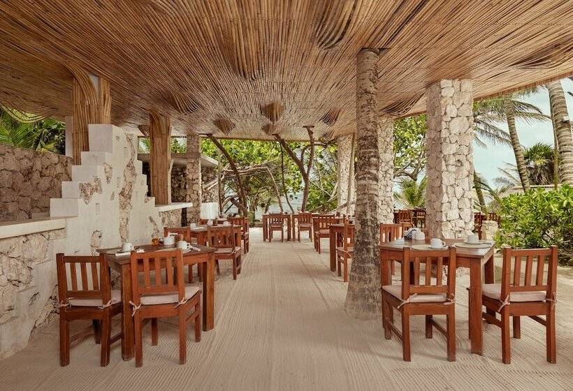 Fotos del hotel Dos Ceibas Eco Retreat Tulum:  17