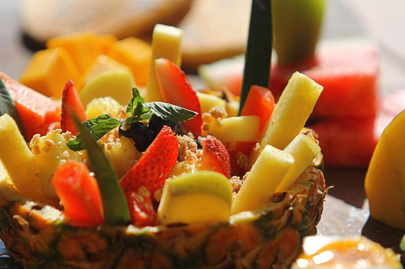 Fotos del hotel Dos Ceibas Eco Retreat Tulum:  19